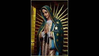 Novena A la Virgen de Guadalupe [upl. by Ennoved437]