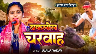 Ujala Yadav का हास्य रस बिरहा  बकलोल चरवाह  Bhojpuri Birha [upl. by Caril]