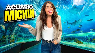 El ACUARIO más GRANDE de Latinoamérica en CDMX MEXICO 4K [upl. by Chelsae]