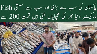 Biggest Fish Market in Pakistan 2023  Karachi Fishery  Wholesale Fish Market [upl. by Hajed]