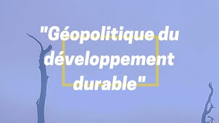 Géopolitique du développement durable  Table ronde  2 [upl. by Kentigerma]