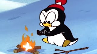 Chilly Willy en Español 🐧En peligro de extinción Chilly  Capitulos completos🐧Dibujos Animad [upl. by Althee]