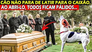 Cão Interrompe Funeral Deixando Padre Nervoso Ao Latir Para o Caixão Sem Parar [upl. by Cordle]