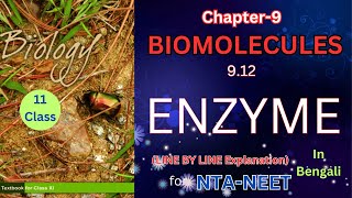 Enzyme for NEETHarunbiozone [upl. by Sergio47]