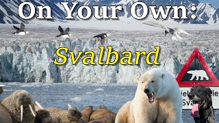 How to Visit Svalbard On Your Own [upl. by Aisatan]