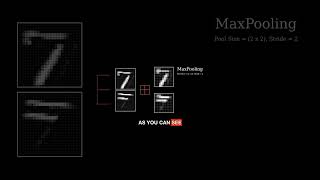 What does the max pooling layer look like [upl. by Auohs]