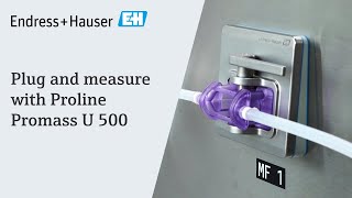 Plug and measure with Proline Promass U 500  EndressHauser [upl. by Stoddart]