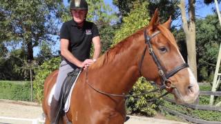 Welcome to our equitation science channel with Andrew McLean [upl. by Jedthus]