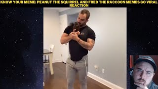 Know Your Meme Peanut The Squirrel And Fred The Raccoon Memes Go Viral Reaction [upl. by Durware880]