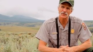 History of Yellowstone Wolves with Doug Smith [upl. by Seligmann]