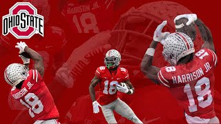 Marvin Harrison Jr Sophmore Highlights  Ohio State  Wide Receiver  2022 through 2023 Season [upl. by Nyloc]