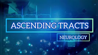 🩺20 ASCENDING TRACTS  NEUROLOGYmalayalam medical viral [upl. by Venetis]