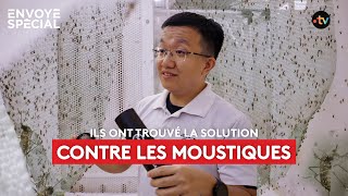 Ils ont trouvé la solution pour lutter contre les moustiques [upl. by Kcirre328]