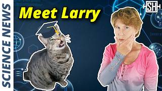 Cat Becomes WellCited Scholar With New Scam Method [upl. by Edy621]