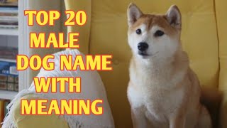 TOP 20 Most Popular Male Dog Names With Meaning [upl. by Rodriguez]