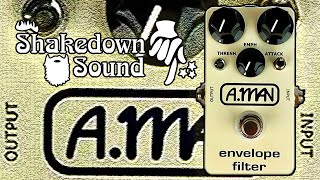 The Block Logo Envelope Filter Pedal by Analog Man  The Shakedown Sound Series [upl. by Einra]