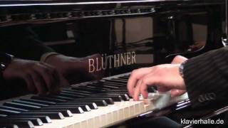 Blüthner Flügel Modell 11  Franz Liszt  Sonate hMoll [upl. by Cass]