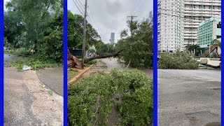 Así está la zona del Vedado tras el paso del huracán Rafael [upl. by Ayidan]