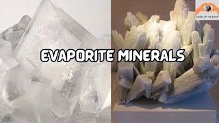 Lecture 8 Evaporite Minerals Gypsum Anhydrite Halite Sylvite geology minerals [upl. by Dloreh]