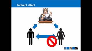 EU Law  Direct Effect [upl. by Yniffit]