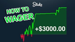 HOW TO WAGER LIKE A PRO ON STAKE DiceCrusher strategy [upl. by Happ]