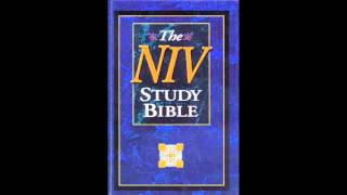 The Book of Numbers NIV Audio Bible Non Dramatized [upl. by Cadel]