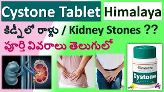 Cystone tablet in Telugu full review  Composition Uses Working Dosage Side effects [upl. by Ahsienod994]