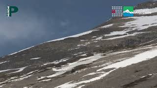 Aquila e gipeto il volo silenzioso della natura [upl. by Cami]