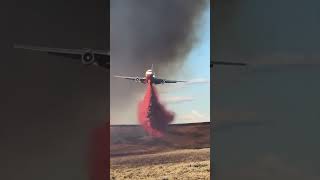 Watch This Massive Retardant Drop Fight a Raging Wildfire Up Close [upl. by Libby]