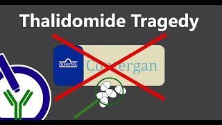 The Thalidomide Scandal A Drug That Harmed 10000 Babies—And Changed Medicine Forever [upl. by Omland911]