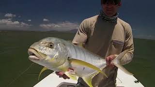 Hinchinbrook Flyfishing [upl. by Ahtebat]