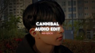 Cannibal  Kesha  Audio Edit [upl. by Fonville]