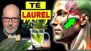 ENFERMEDADES que SANAN con TÉ de LAUREL CÓMO USARLO 🌿🍵 [upl. by Annwahsal]