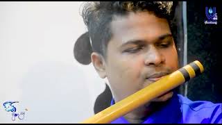 පාවෙලා නිල් වලාවේ Flute and Melodica අනුවාදනයක්  Dr Chamath Kariyawasam [upl. by Orpha]