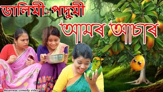 Dalimi podumir Aamr Asar  Assamese comedy video  Assamese funny video [upl. by Bertilla]