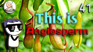 ANGIOSPERM  ANGIOSPERM IN HINDI  ANGIOSPERM AND GYMNOSPERM [upl. by Valeta]