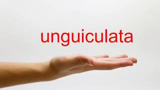 How to Pronounce unguiculata  American English [upl. by Ecinej]