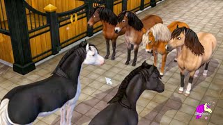 Buying All the New Gotland Ponies Star Stable Online Update Video [upl. by Euqinahs841]