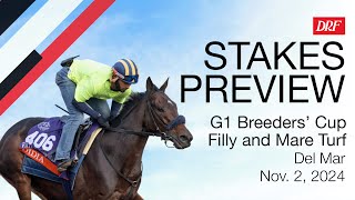 Grade 1 Breeders Cup Filly and Mare Turf Preview  November 2 2024 [upl. by Jeroma]