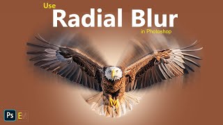 Use Radial Blur in Photoshop  photoshop blur effect  Photoshop bangla tutorial  photoshop cc [upl. by Wattenberg]