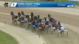 2024 Yarra Valley Pacing Cup [upl. by Ojibbob]