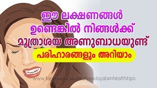 Urinary Infection Symptoms Diagnosis and Treatment  Daily Malayalam Health Tips [upl. by Eneliak115]