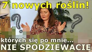 Nie uwierzycie jakie rośliny kupiłam  omawiam paczkę ze sklepu Moje Badyle  przesadzam  osłonki [upl. by Ailil]