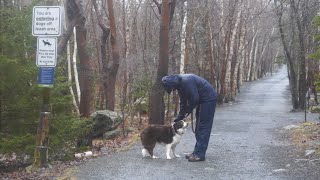 Shubie Park Silent Walk In The Rain  Dartmouth Nova Scotia [upl. by Craggie]