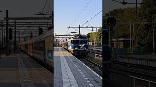 Beautiful Sziget Express train passing sHertogenbosch with Horn tren zug train treno [upl. by Aldric]