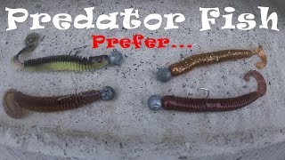 Predator Fish Prefer [upl. by Philipines]