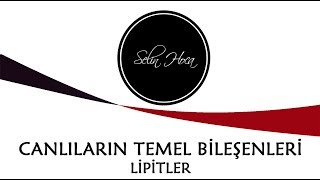 ARŞİV 4 Canlıların Temel Bileşenleri  Organik Maddeler  Lipitler  9 Sınıf Biyoloji TYT 4 [upl. by Teresina]