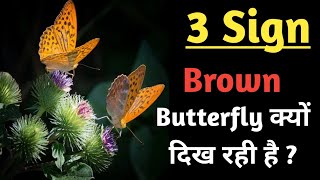 Brown Butterfly दिखने का क्या मतलब होता है l Brown Butterfly Seeing Meaning in Law of Attraction 🦋 [upl. by Lienhard]