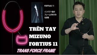 Trên tay bộ đôi cây vợt Mizuno Fortius 11 Quick và Fortius 11 Power [upl. by Krystle935]