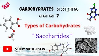 Carbohydrates என்றால் என்ன Classification of Carbohydrates  Types of Carbohydrates quotSaccharidesquot [upl. by Ruberta673]